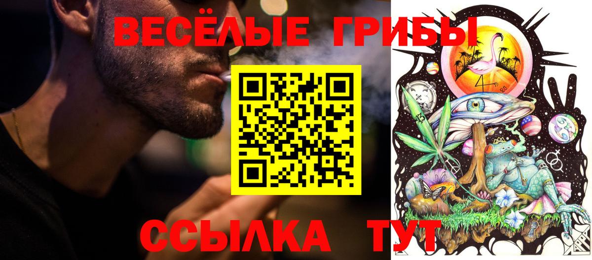 Псилоцибиновые грибы мухоморы Большой Камень
